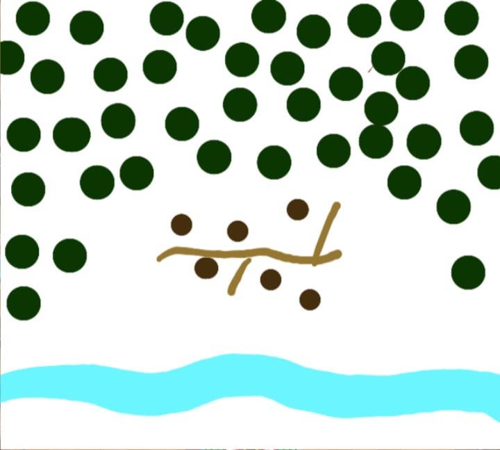 岩盤用のそのような種を見つけた人はいますか？