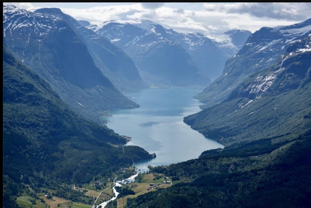 種を探しています