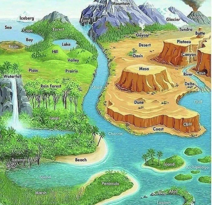 あの写真に似た種子を知っている人はいますか