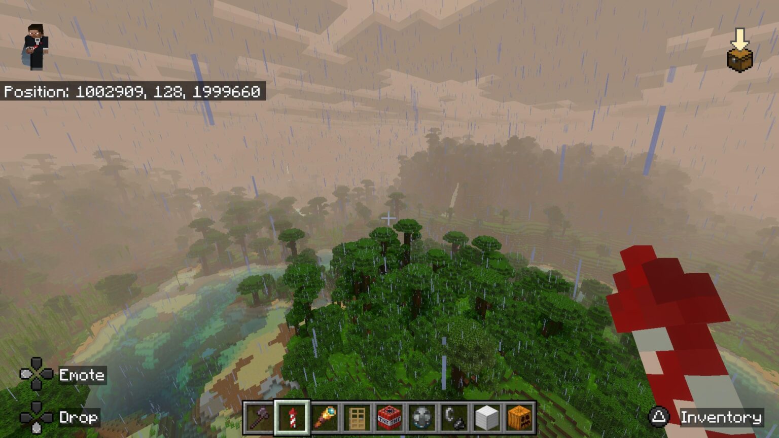 クールなジャングル