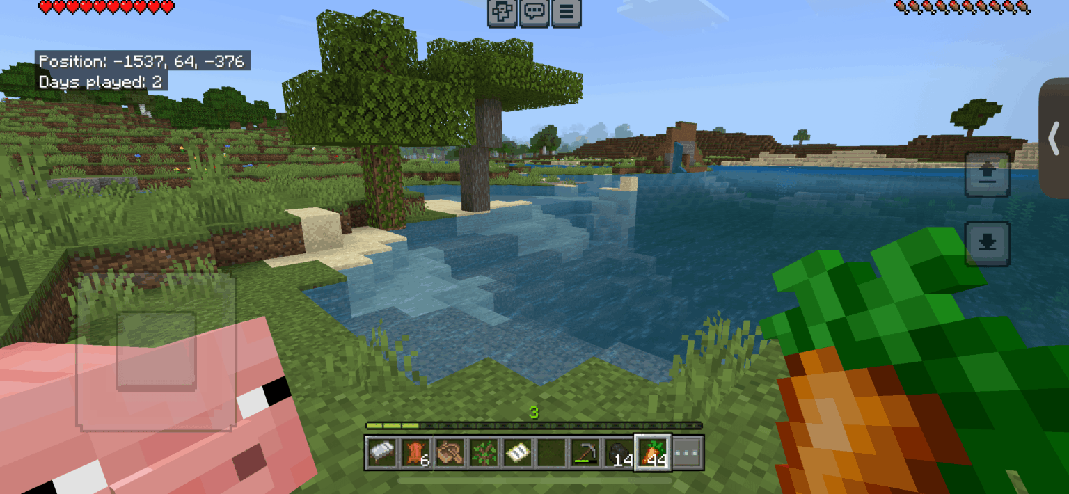 最小のサバンナバイオーム