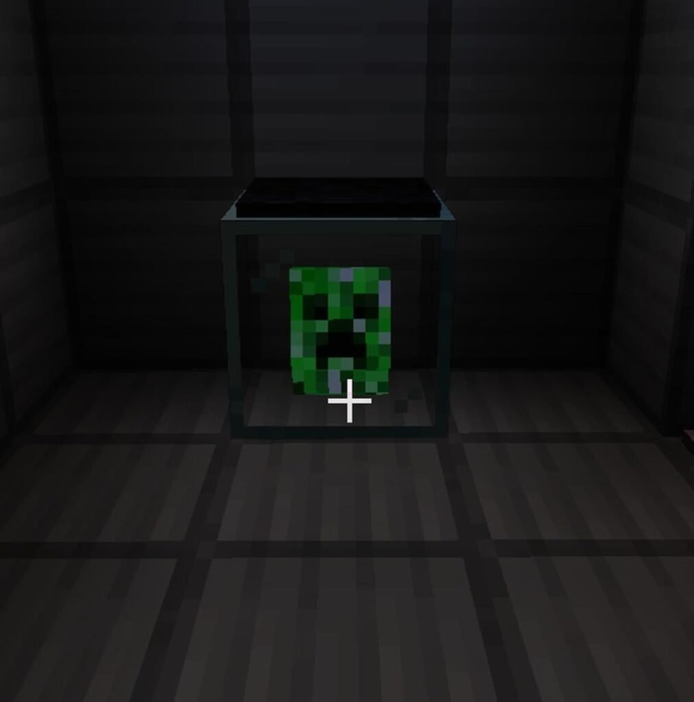 瓶の中のつる植物を見たことはありますか？いいえ？後でよろしくお願いします。