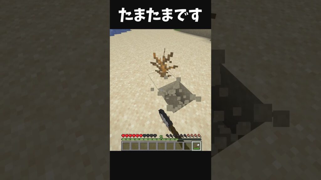 たまたまなんです、、　　#マイクラ #マインクラフト #まいくら #minecraftshorts #minecraft #minecraftmeme #minecraftmemes