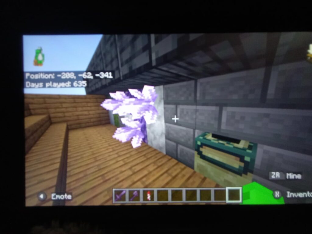 このような種はありますか？