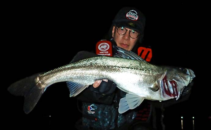 九頭竜川のリバーシーバスゲームで80cmランカー捕獲！【福井】細身ミノーがハマった夜