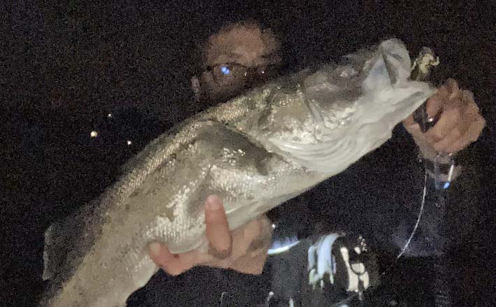 志賀島大岳のサーフゲームで72cmシーバス好捕！【福岡】12cmミノーを丸のみする豪快バイト