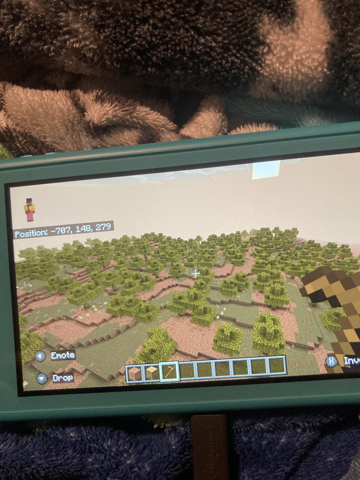 これは何のバイオームですか?