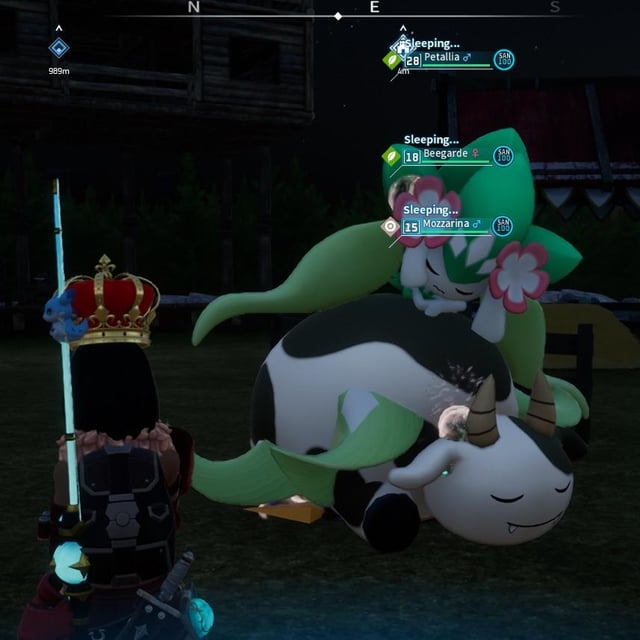 これらは実際にはちょっとかわいいXD