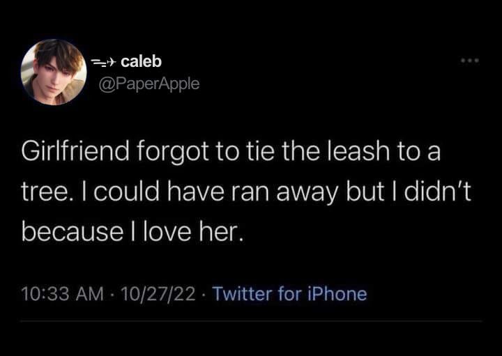 行儀の良いドージェ