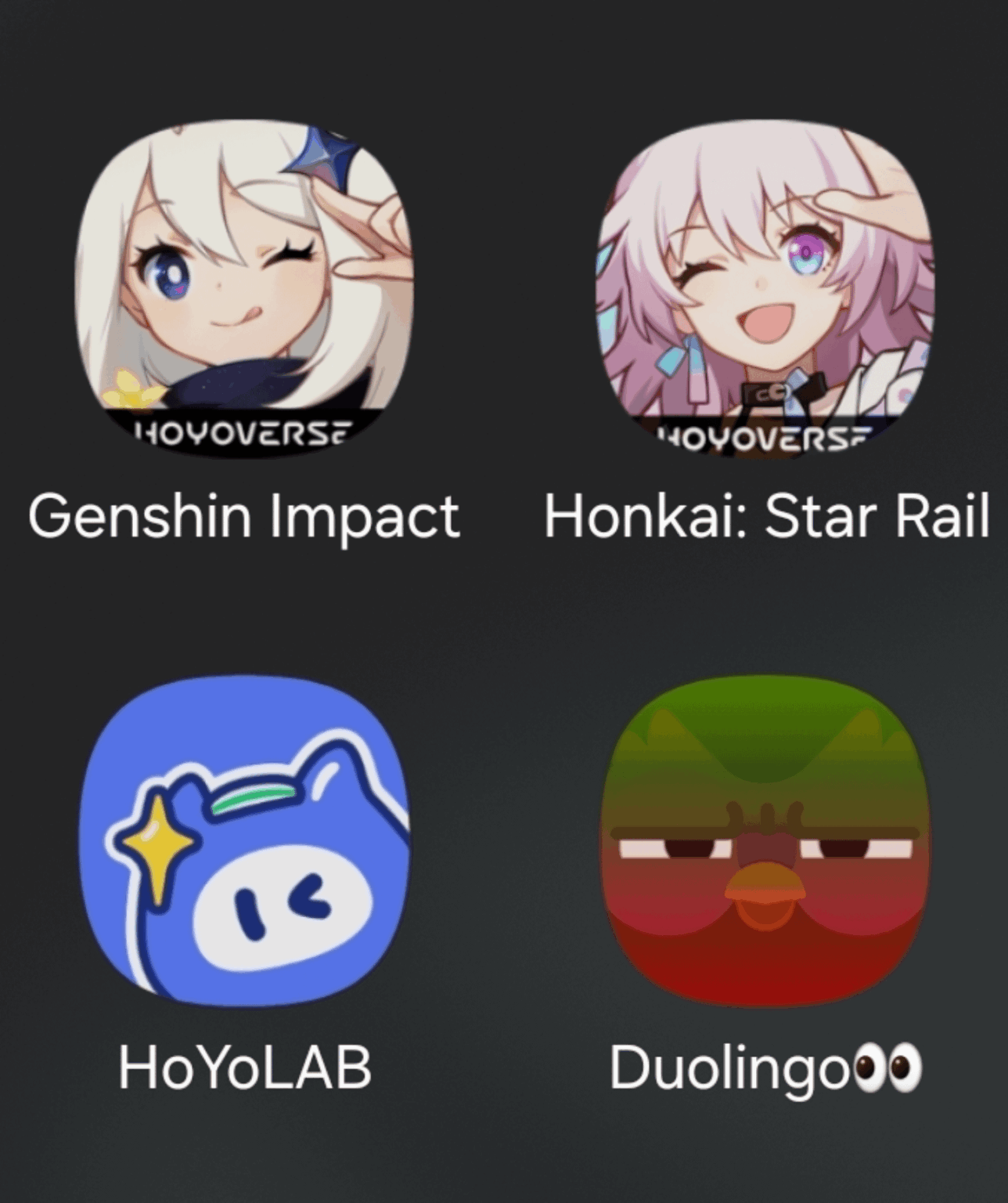 コードを取得してログインを停止した後の Duolingo