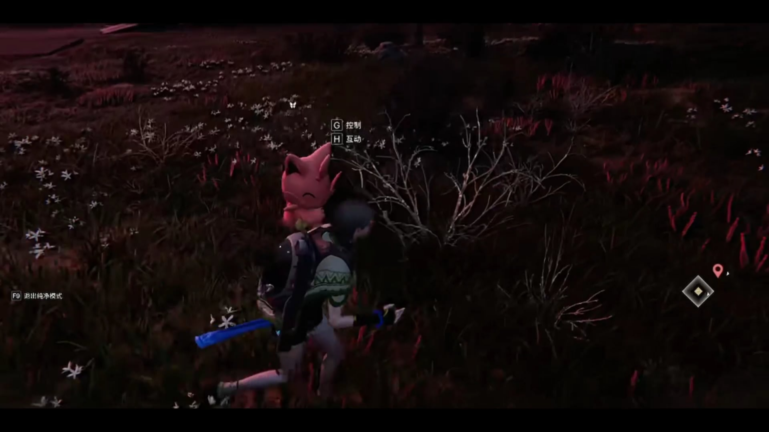 異世界のカティバの一日