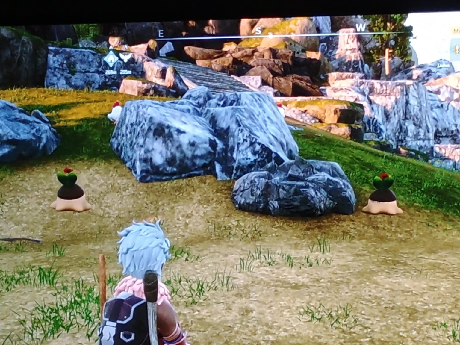 頭に花をつけたグモスを2匹見つけました