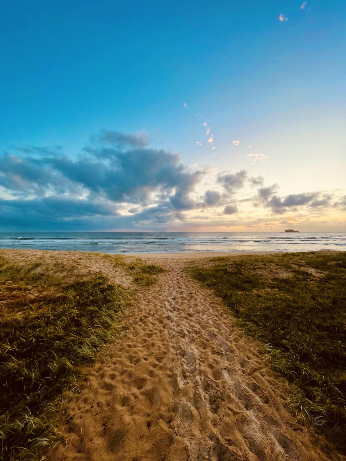もう一度始めるか、元に戻ります 🤷🏼