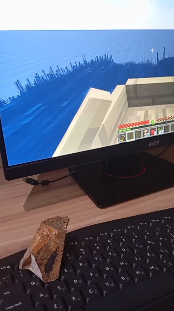 私はアインシュタインですか