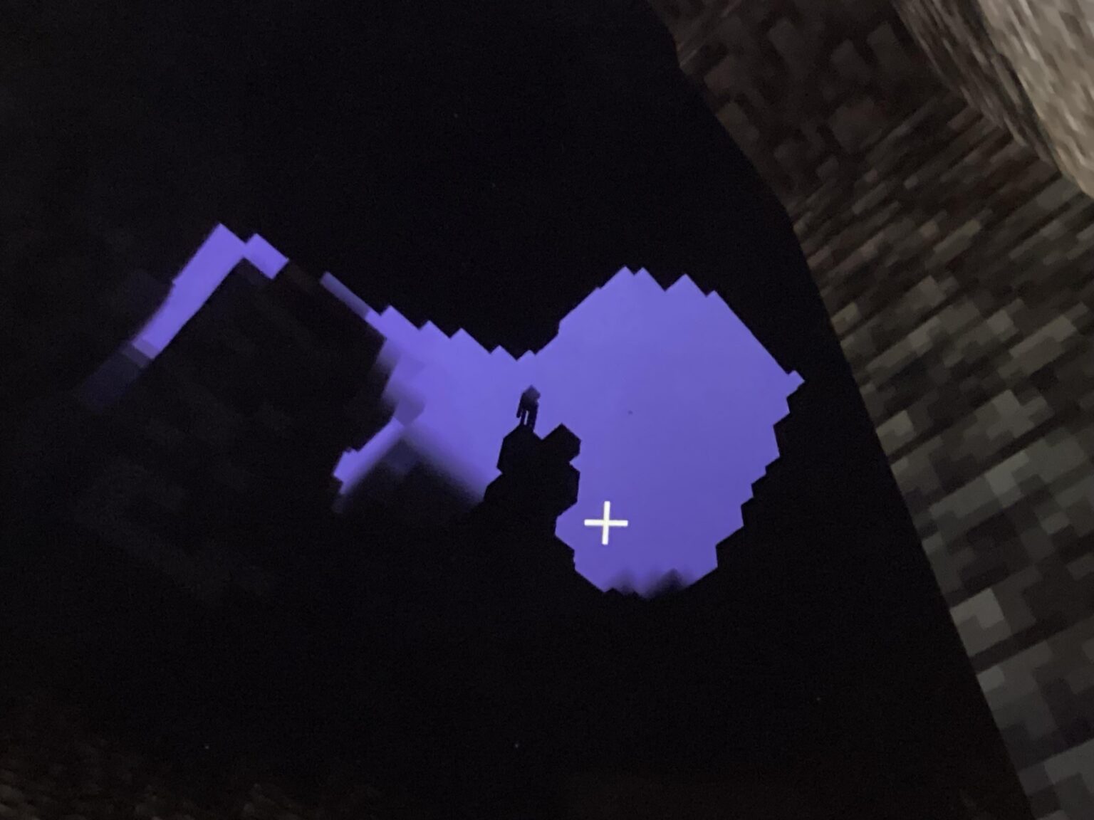 最も冷たいエンダーマン