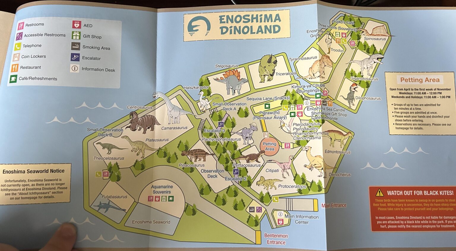 このような種を持っている人はいますか？ （岩盤）