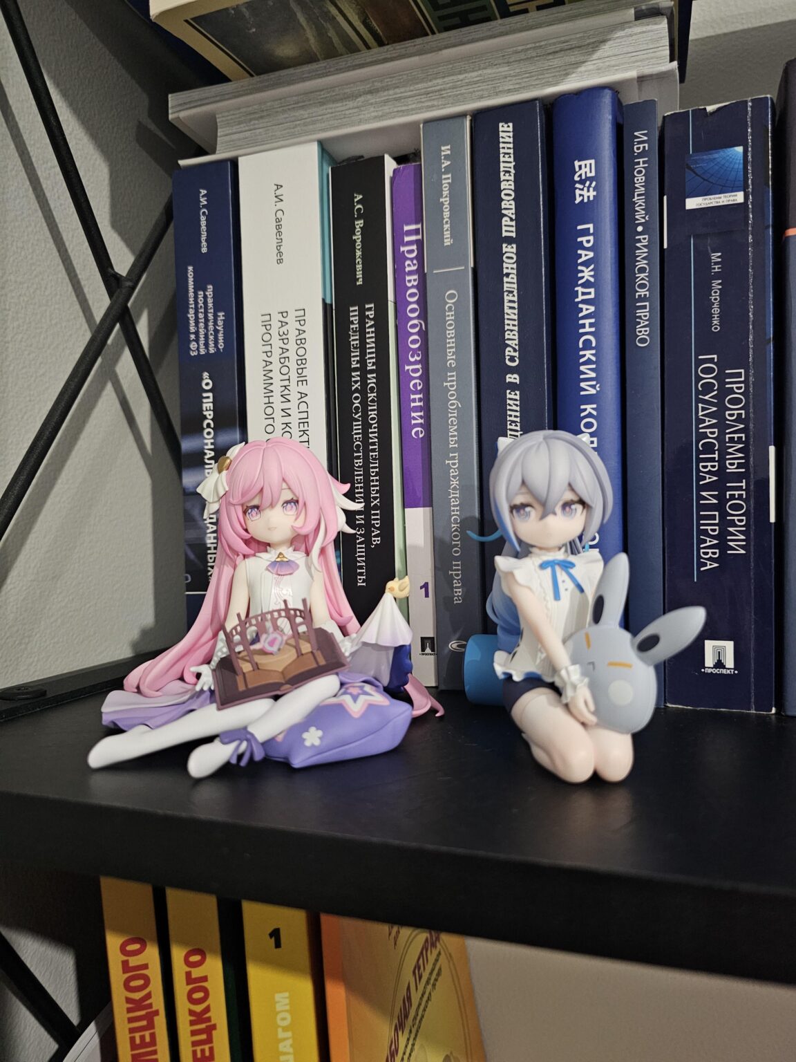 ピンクの女神に同行するためにブローニャが到着しました + 小さなハーシャーコレクションのフィギュアについての質問です!