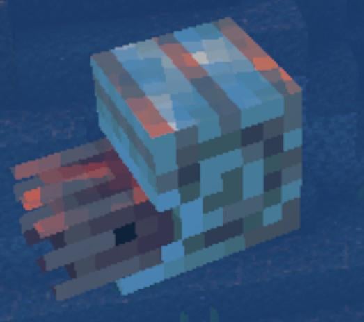 オウムガイの赤ちゃんが好きな人は誰ですか?