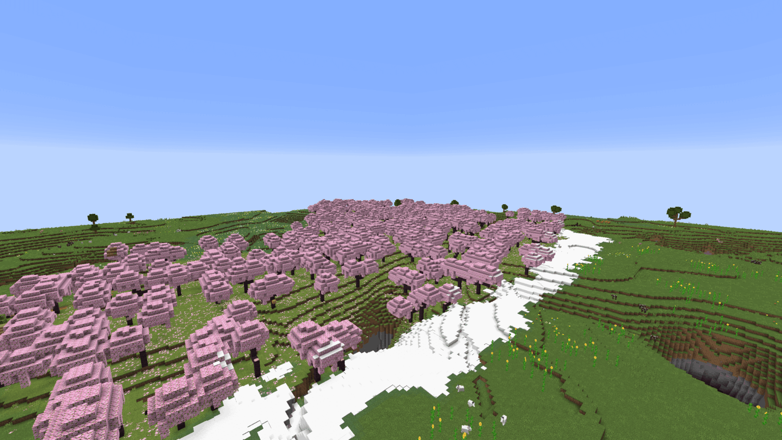 遠くの地で見つけた涼しくて大きな桜の木立