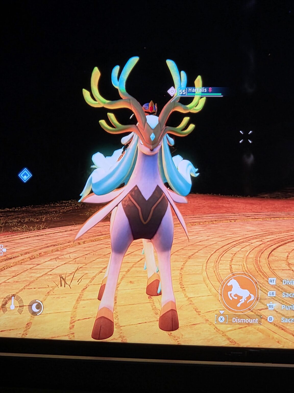 彼を捕まえたとき、あなたは死んだのですか？