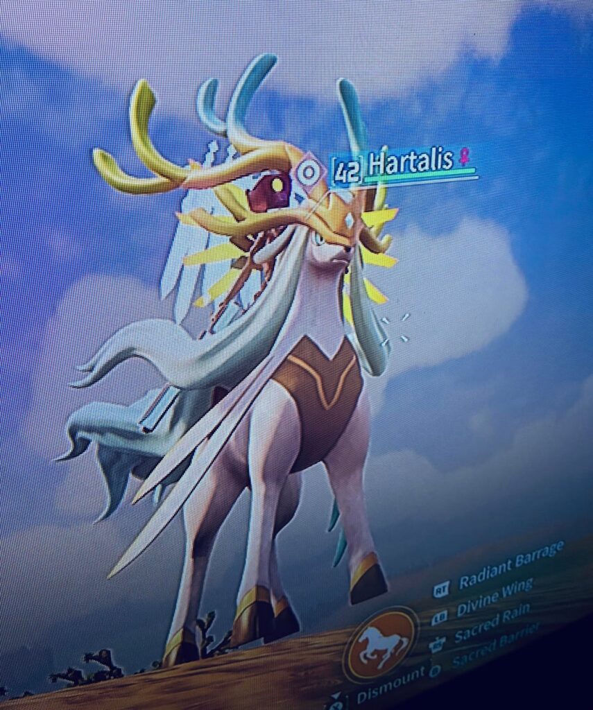 新しい仲間を手に入れた