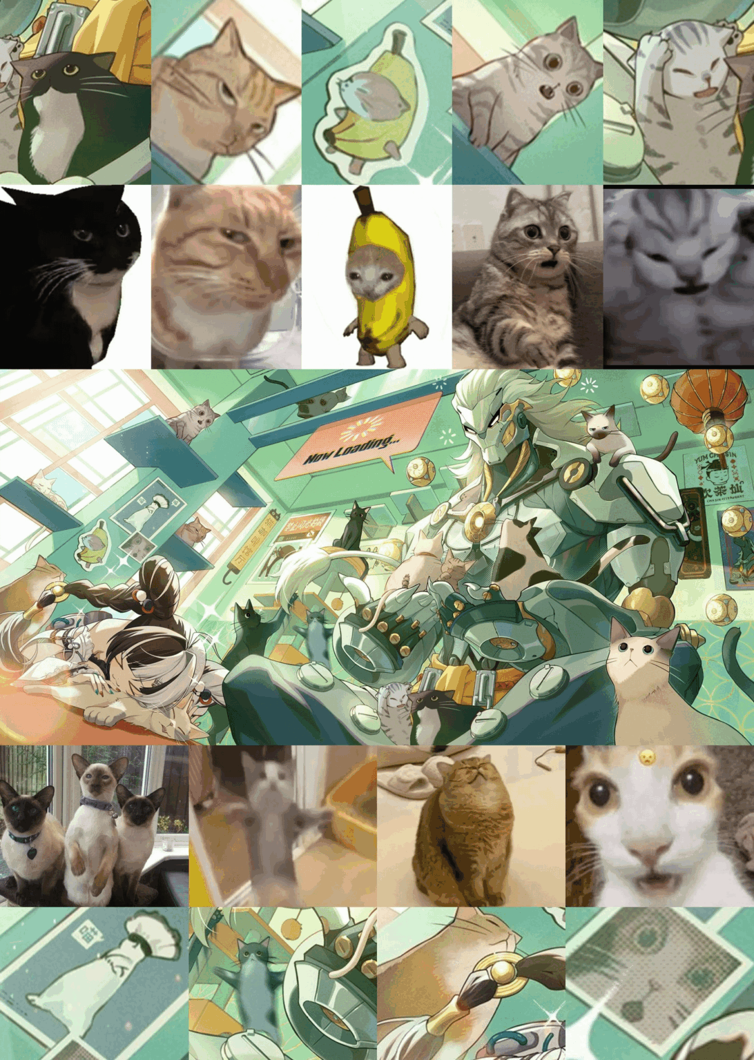 Banyue アートの猫ミーム 😅