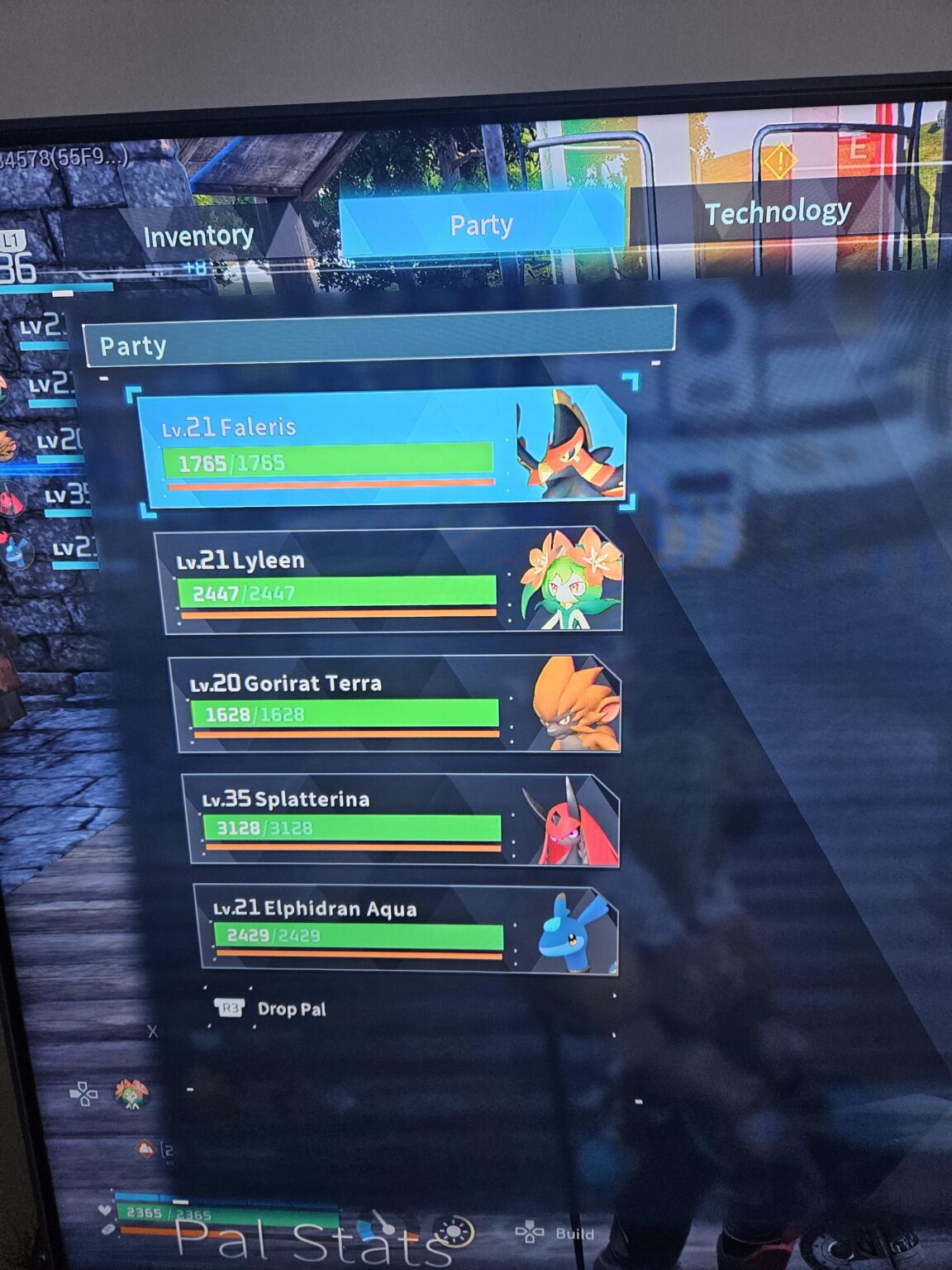 現在のパルチームLv36