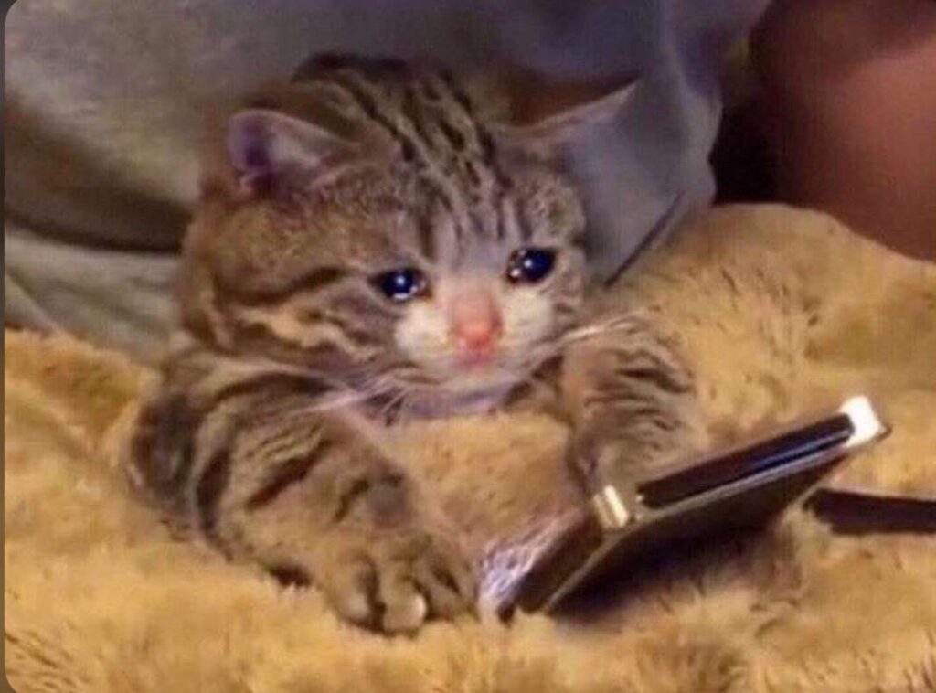 ブルー、私は兄に値しない