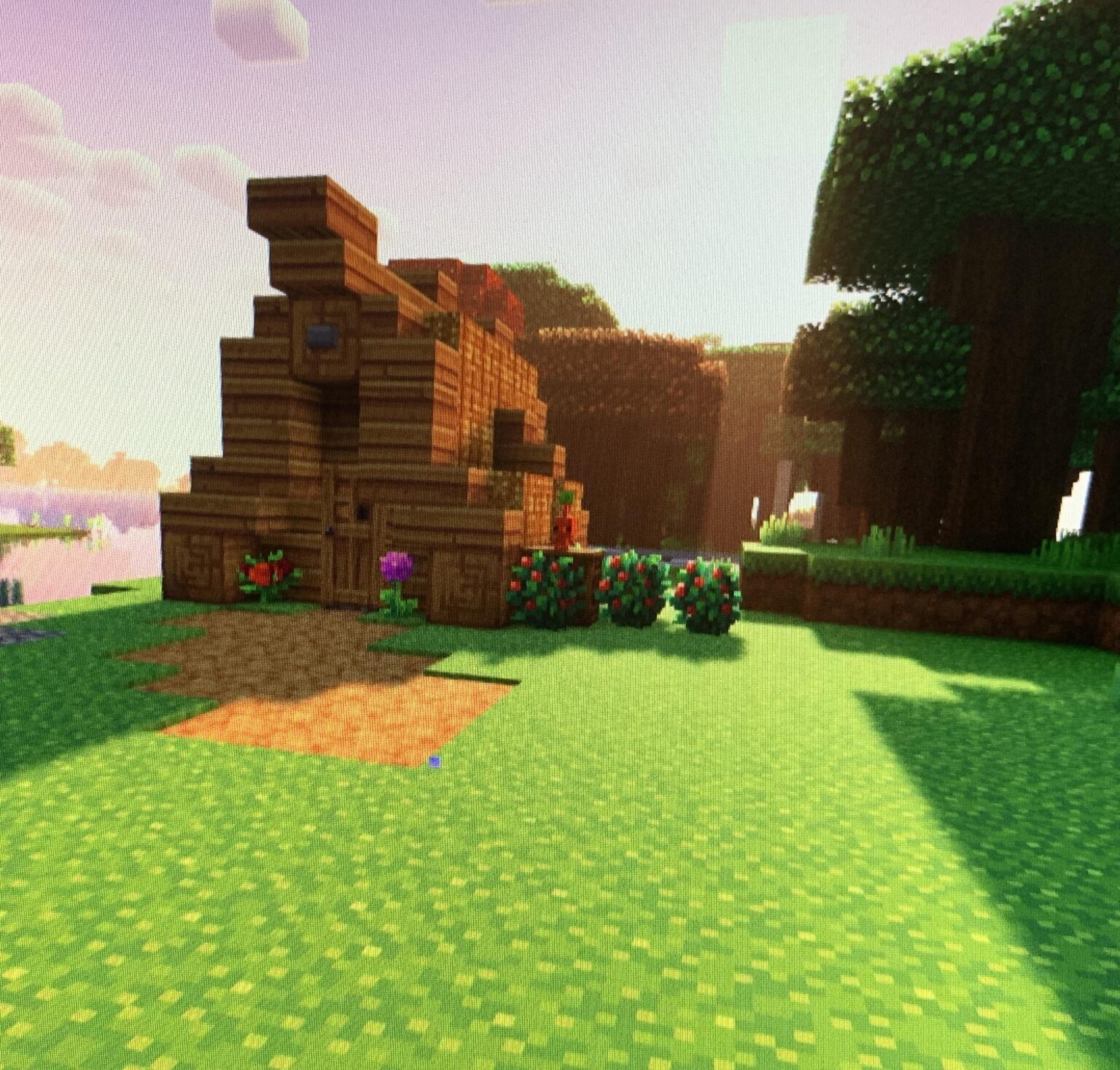 私のスターターベース、ただし実際はスターターベースです