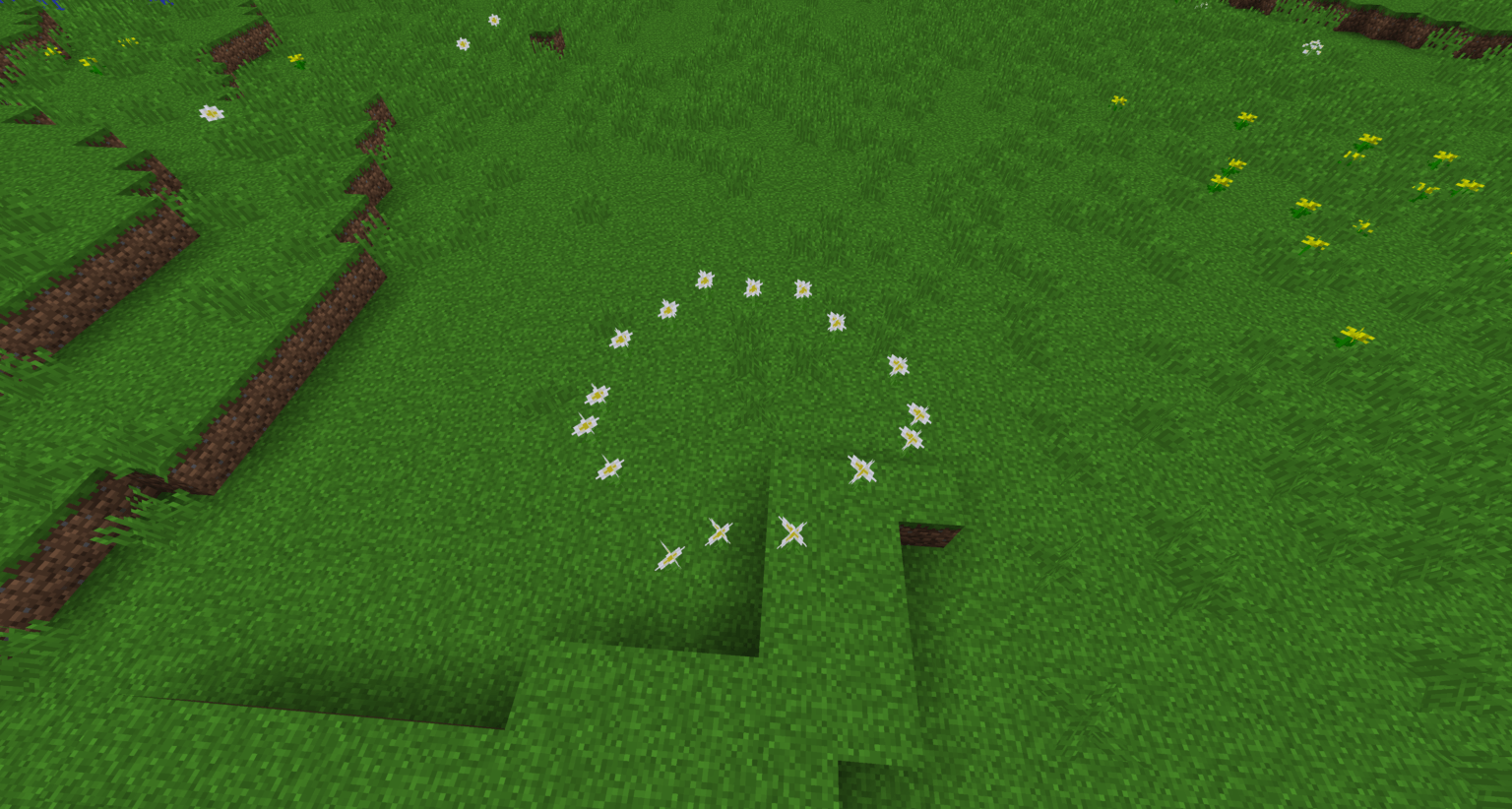 素敵なフラワーサークルを見つけました