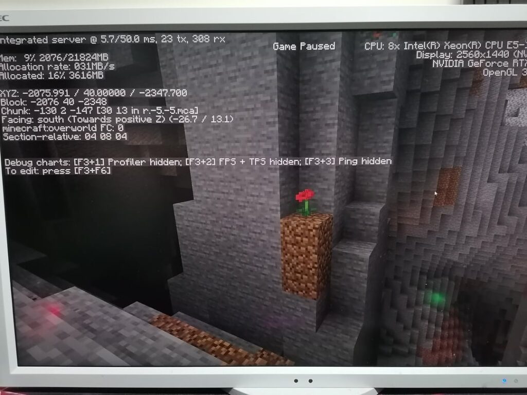 Y40でケシの花を見つけました