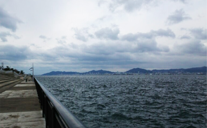 日中のライトソルトゲームで今期初メバルをキャッチ【神戸】エビ型ワームにヒット