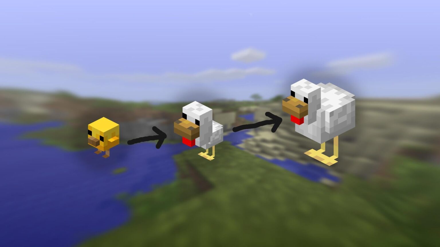 チキンのアイデア