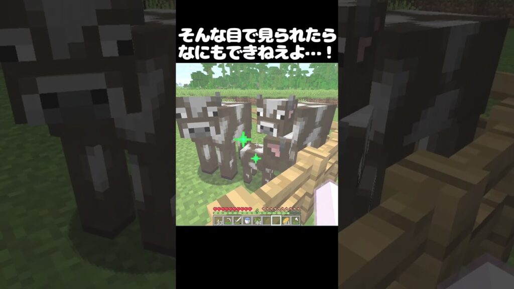 そんな目で見られたら...　#マイクラ #マインクラフト #minecraft #ゲーム #shorts