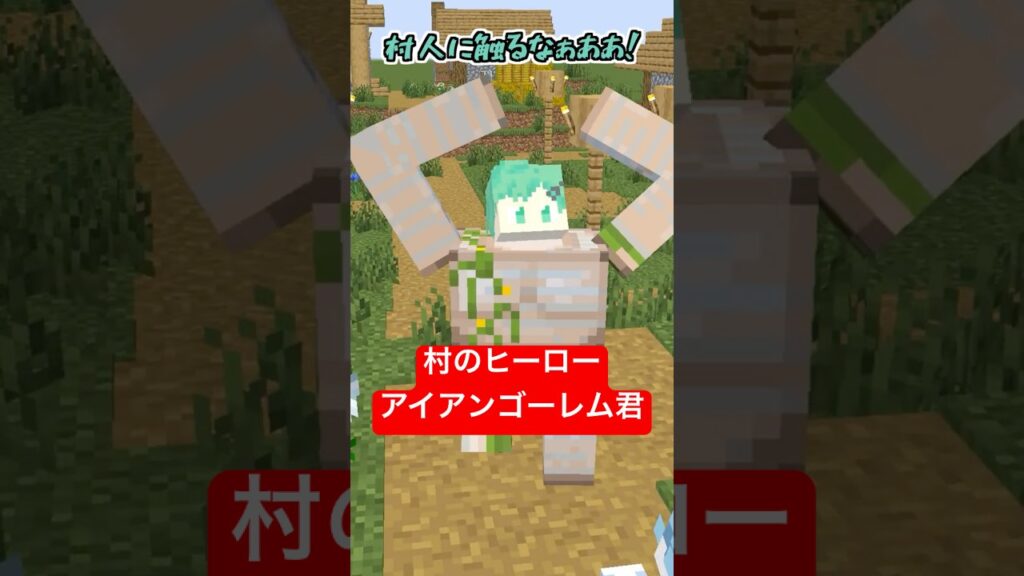 村を守るヒーローアイアンゴーレム【そらねこ】【コント】【マインクラフト】【マイクラアニメ】
