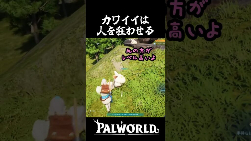 かわいいは1匹で十分や #shorts #palworld #パルワールド #gameplay