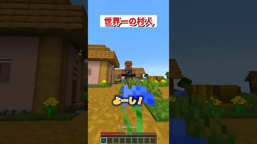 村人がピリジャーに全力で復讐した結果！？【マイクラ・マインクラフト・まいくら・Minecraft】#マイクラ #マインクラフト #shorts #tick #あにげー #minecraft