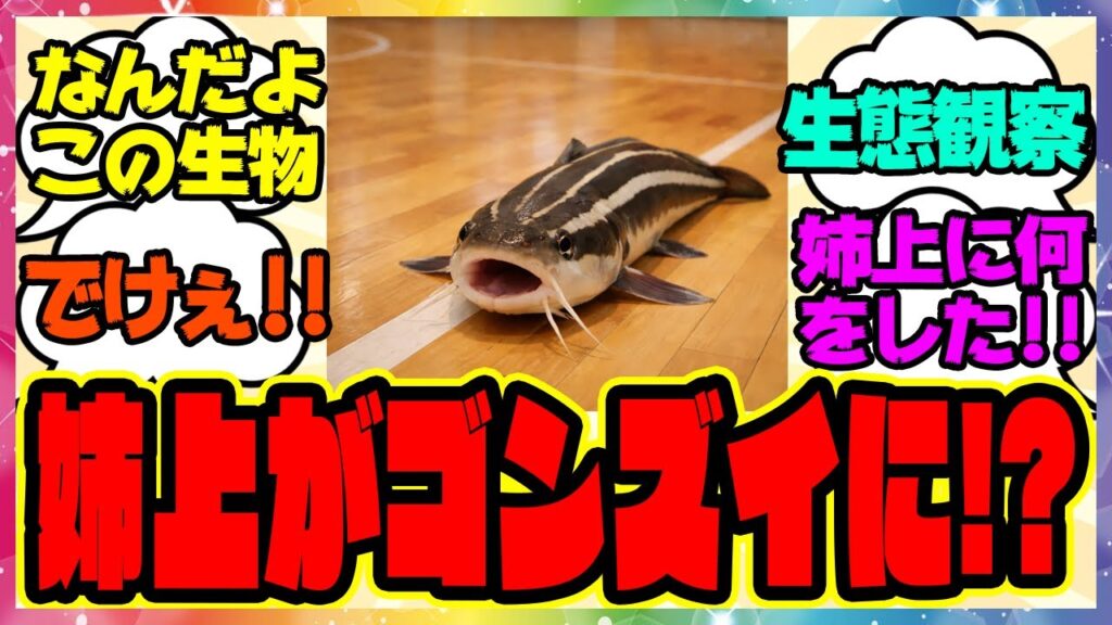 『ドリームゴンズイの生態観察』に対するみんなの反応集 まとめ ウマ娘プリティーダービー レイミン ドリームジャーニー ドリームウミウシ