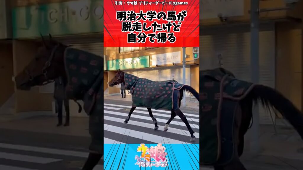 明治大学の馬が脱走したけど自分で帰るに対するトレーナーの反応【ウマ娘　まとめ】#shorts  #ウマ娘プリティーダービー #反応集 #ウマ娘