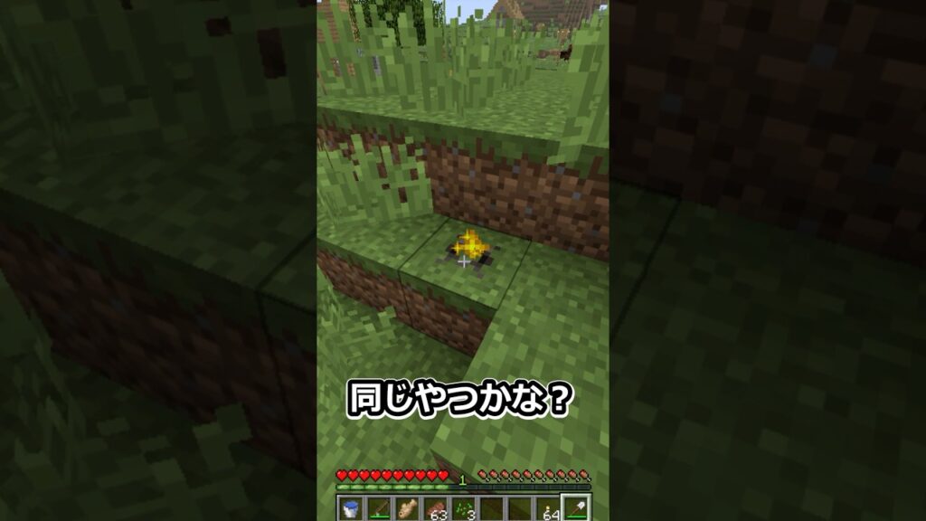 なに？この謎の穴？