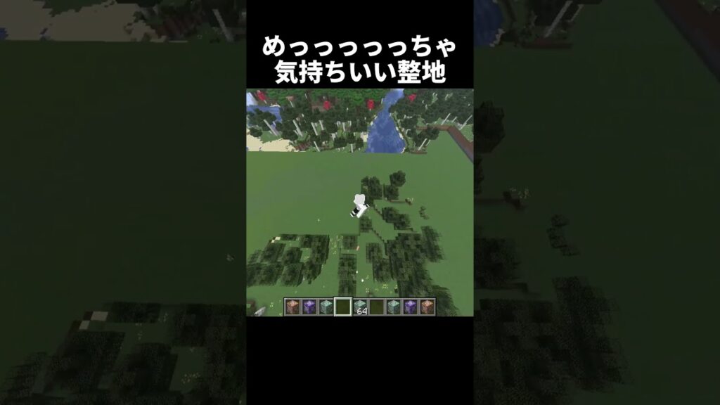 めっちゃ気持ちいい整地　#shorts #マインクラフト #マイクラ