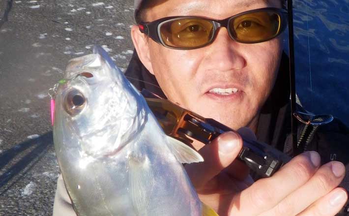 尾鷲エリアのライトゲームで25cm超え良型メッキを手中【三重】アジングで数釣りも満喫