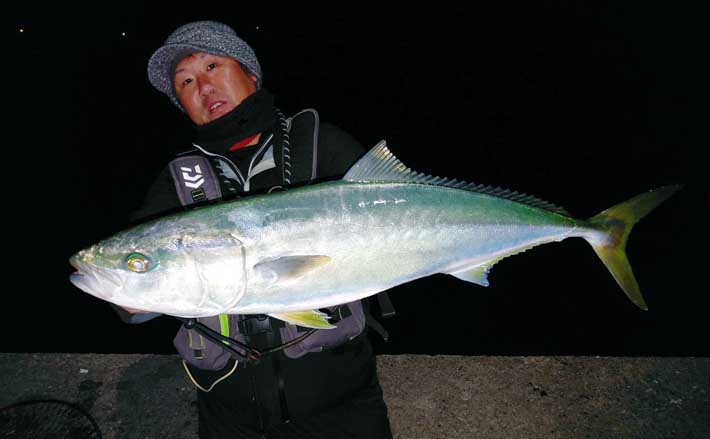 夜の堤防ブリゲームでブリ＆ハマチ連発【熊本・茂串漁港】シーバスタックルで攻略