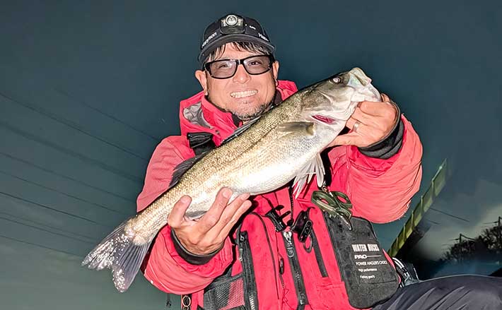 ナイトシーバスゲームで55cm級を手中【愛知・衣浦周辺河川】ベイトが溜まる明暗攻略がカギ | TSURINEWS ナイトシーバスゲームで55cm級を手中【愛知・衣浦周辺河川】ベイトが溜まる明暗攻略がカギ