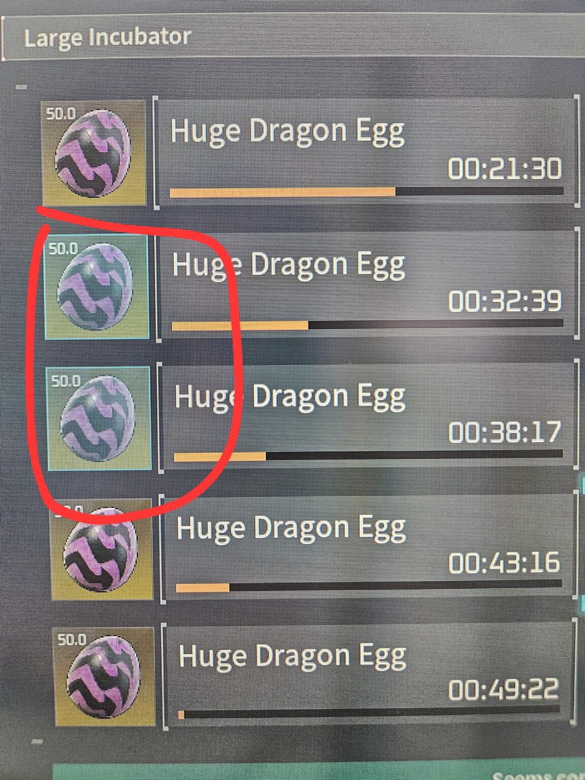 色の違う2つの卵の違いは何ですか？ここにある5個の卵はすべて同じ親から産まれました。