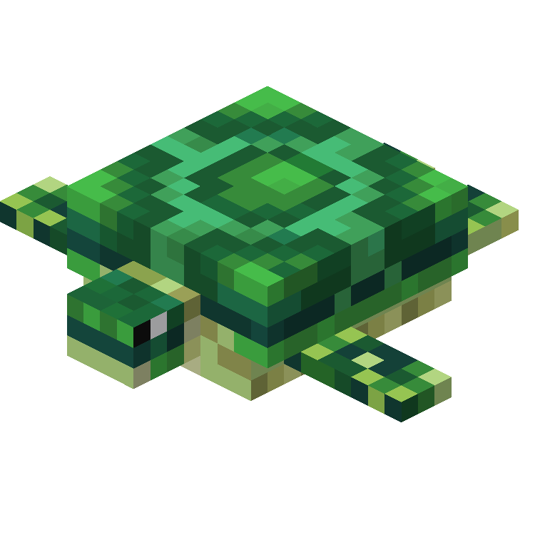 今日、カメがかつてこんなにクールに見えたことを知りました。