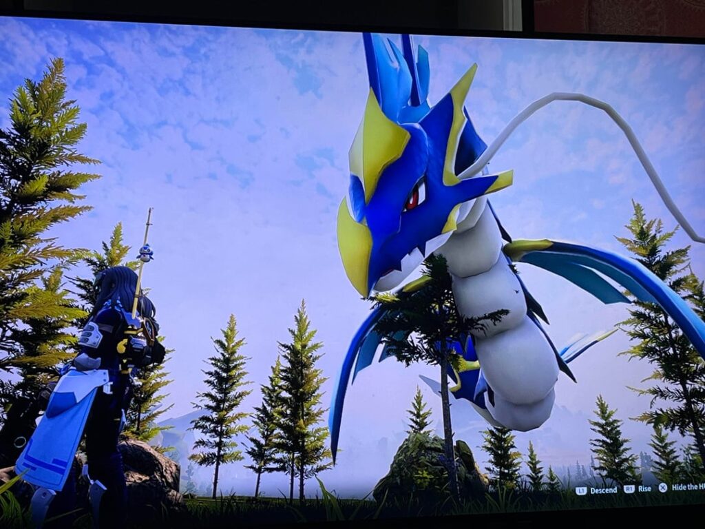 お気に入りの仲間たち！