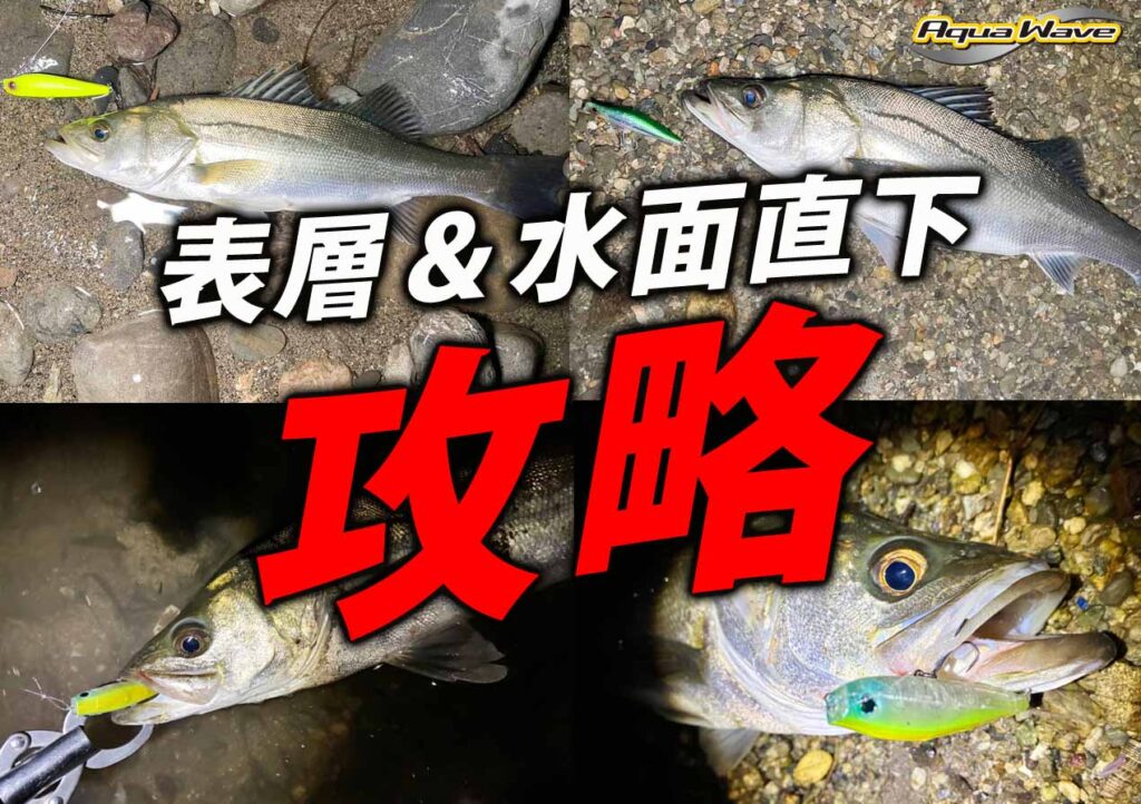 【シーバスゲーム】2種類のプラグでここまで“表層＆水面直下ゲーム”を網羅できるならスグ試したい | 釣りの総合ニュースサイト「LureNewsR（ルアーニュース アール）」