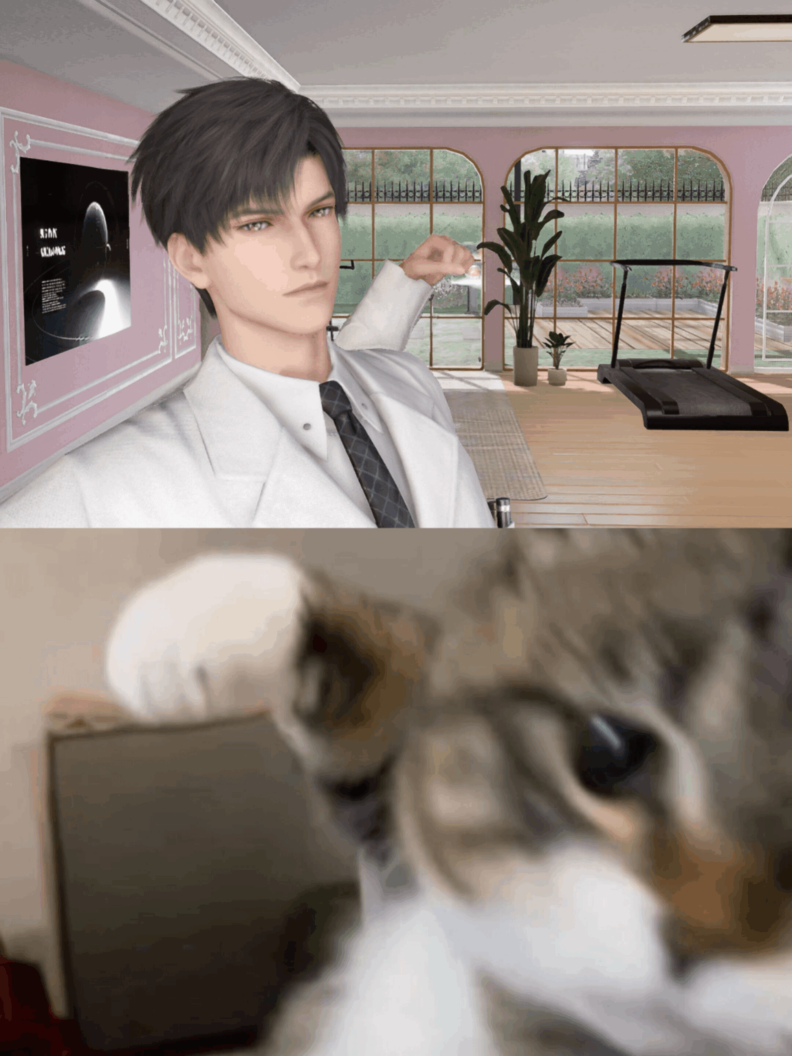 私の拳に話してください!!!👊