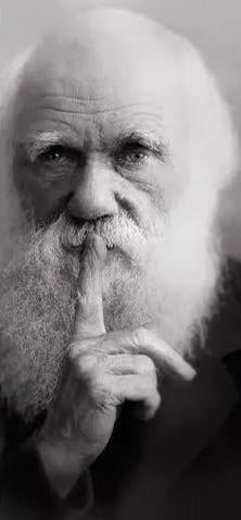 雅はダーウィンの進化論が正しいことを証明した。